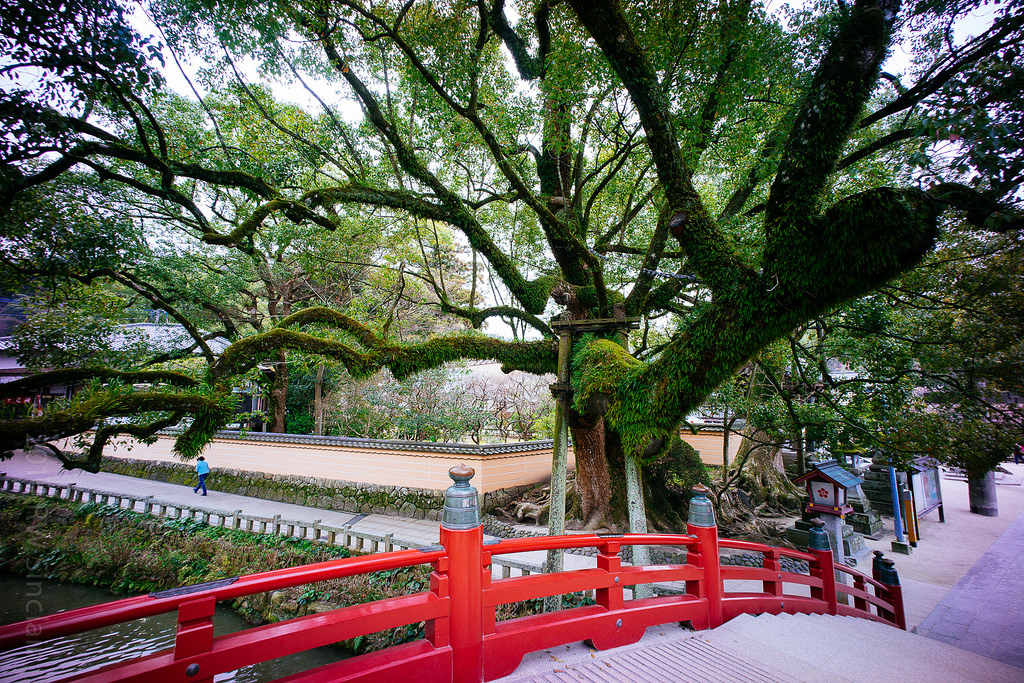 dazaifu-tenmangu-shrine